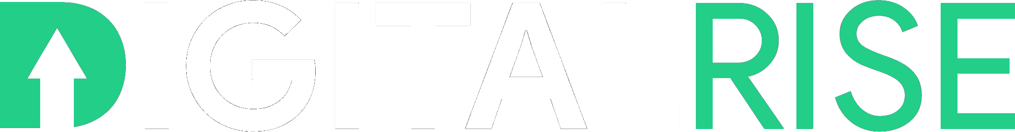 Digitalrise logo
